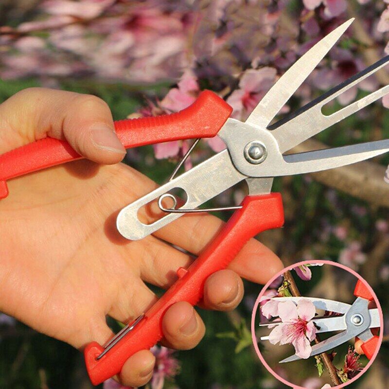 Doubleport Fruit And Flower Thinning Shears Fruit Picking Shears