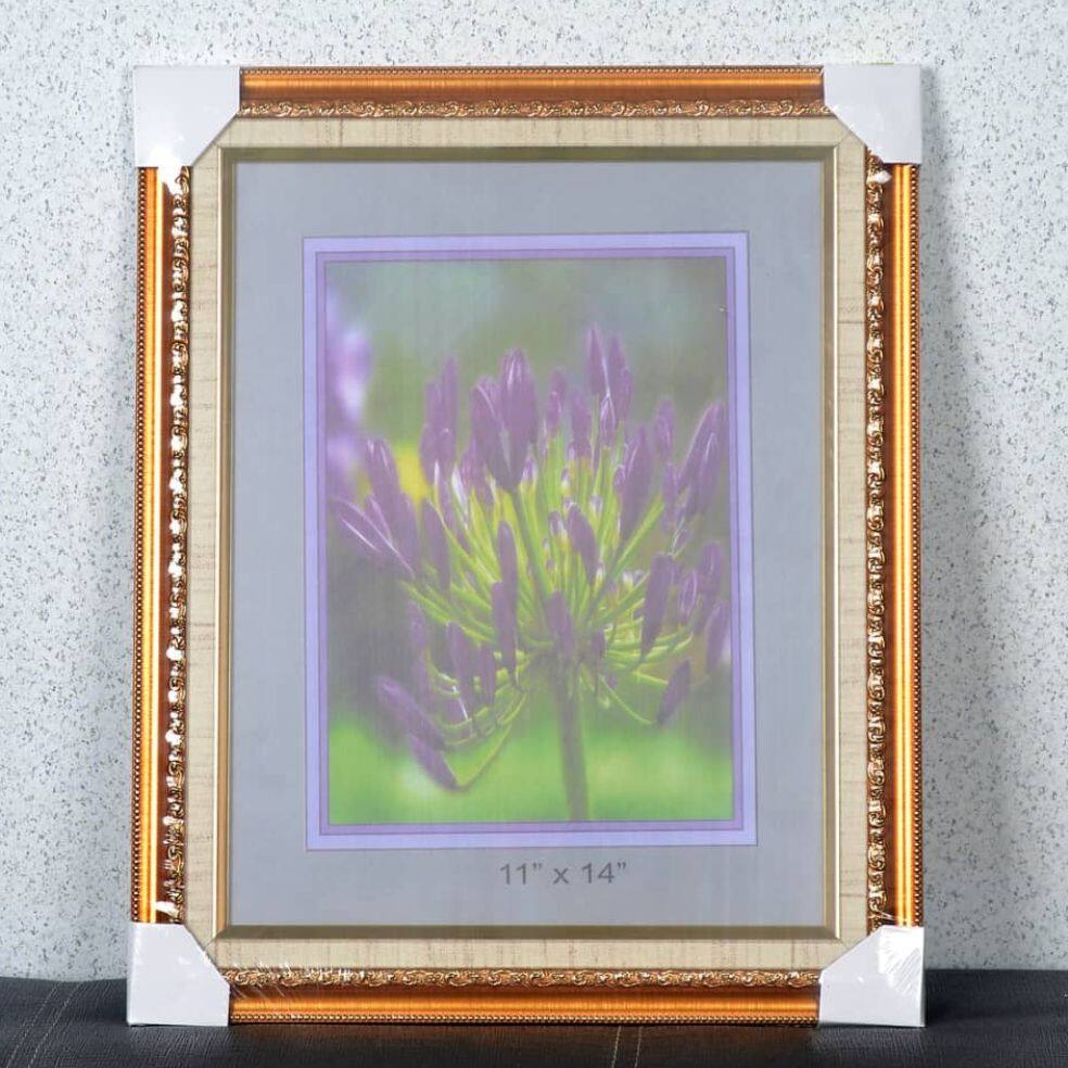 Classic Frame 11r 11x14inch Liner Gold Lazada