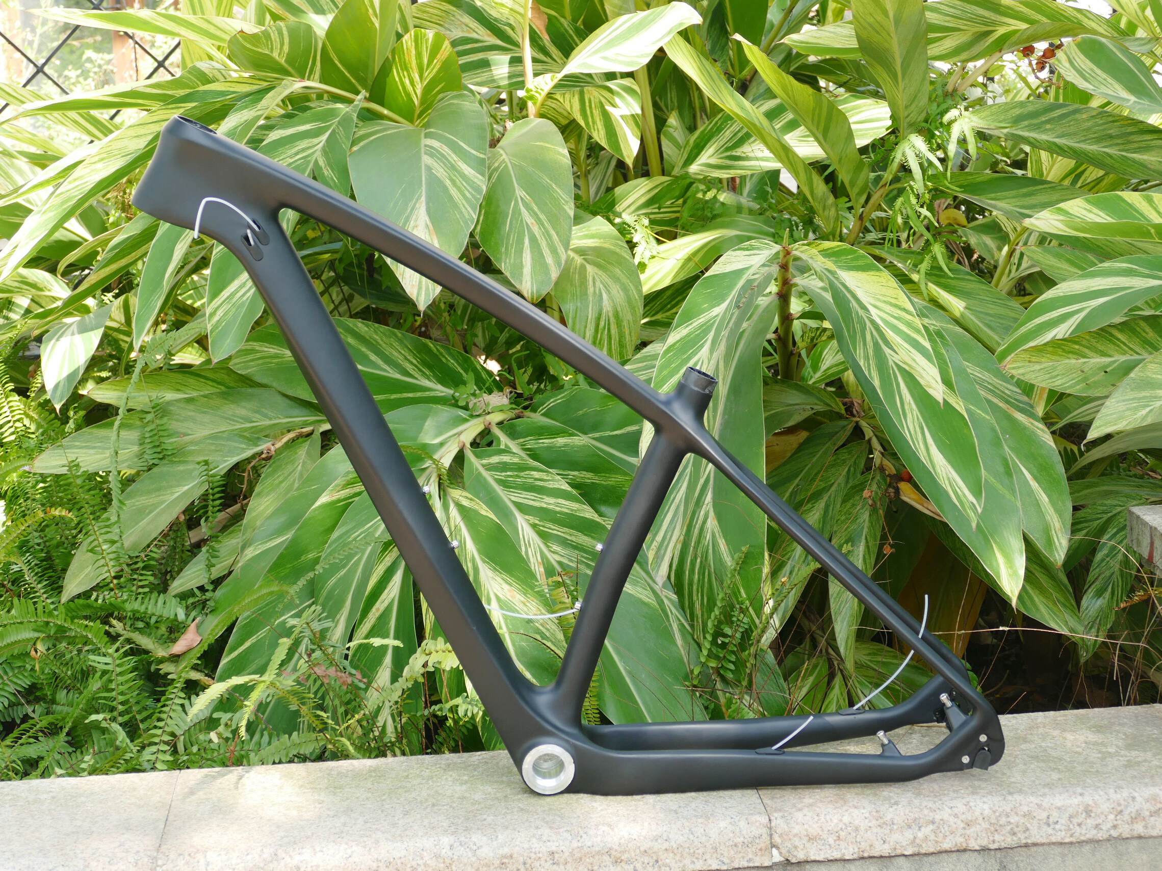 carbon mtb 29