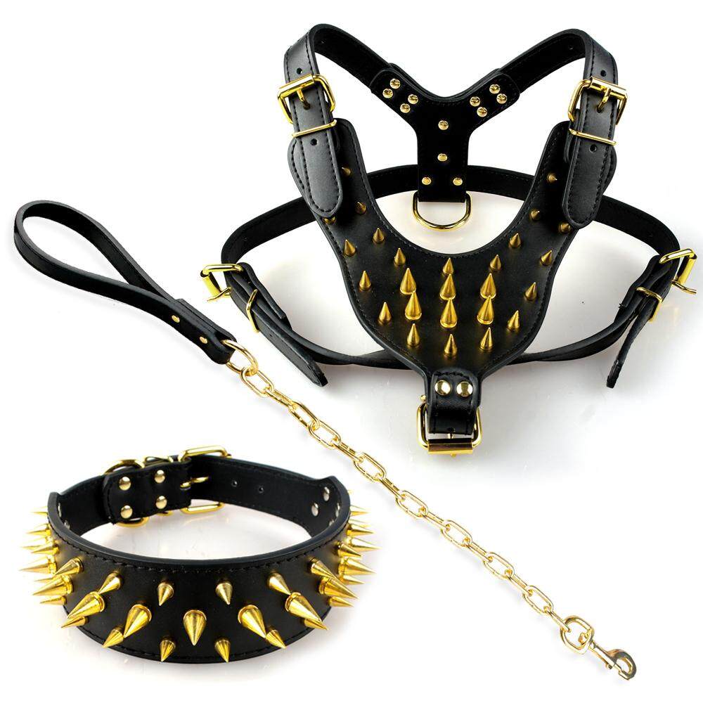 dog leash with spikes