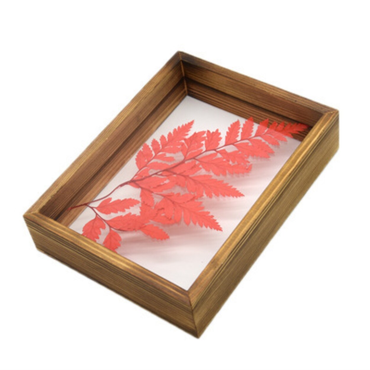 DIY Specimens Frames Pictures Wood Double Sided Glass Flower Leaves Plant Specimen Frame Home Desktop Decoration Ornament