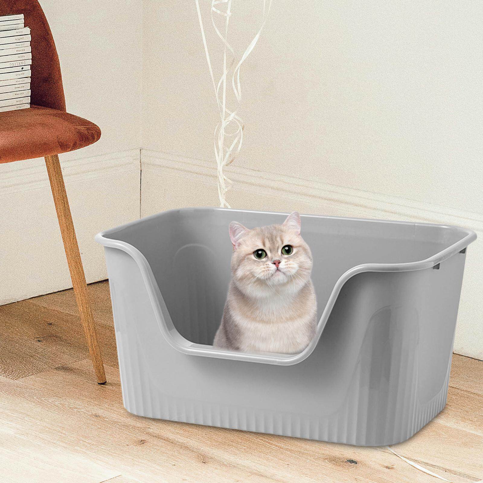 Best High Sided Litter Boxes For Cats Of 2023