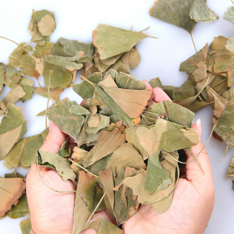(Trà Trung Quốc) Lá Bạch Quả, Trà Thảo Dược, Trà Bong Bóng