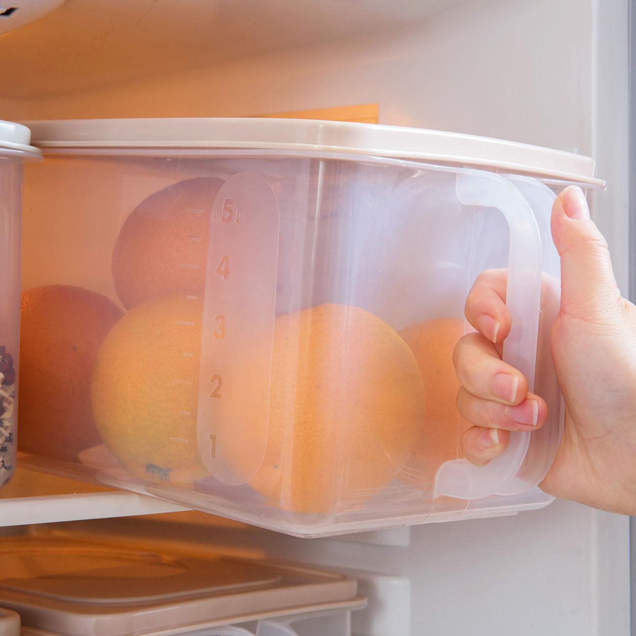CNMF Food Storage Box With Handle Refrigerator Plastic Fruit Vegetable Storage Box