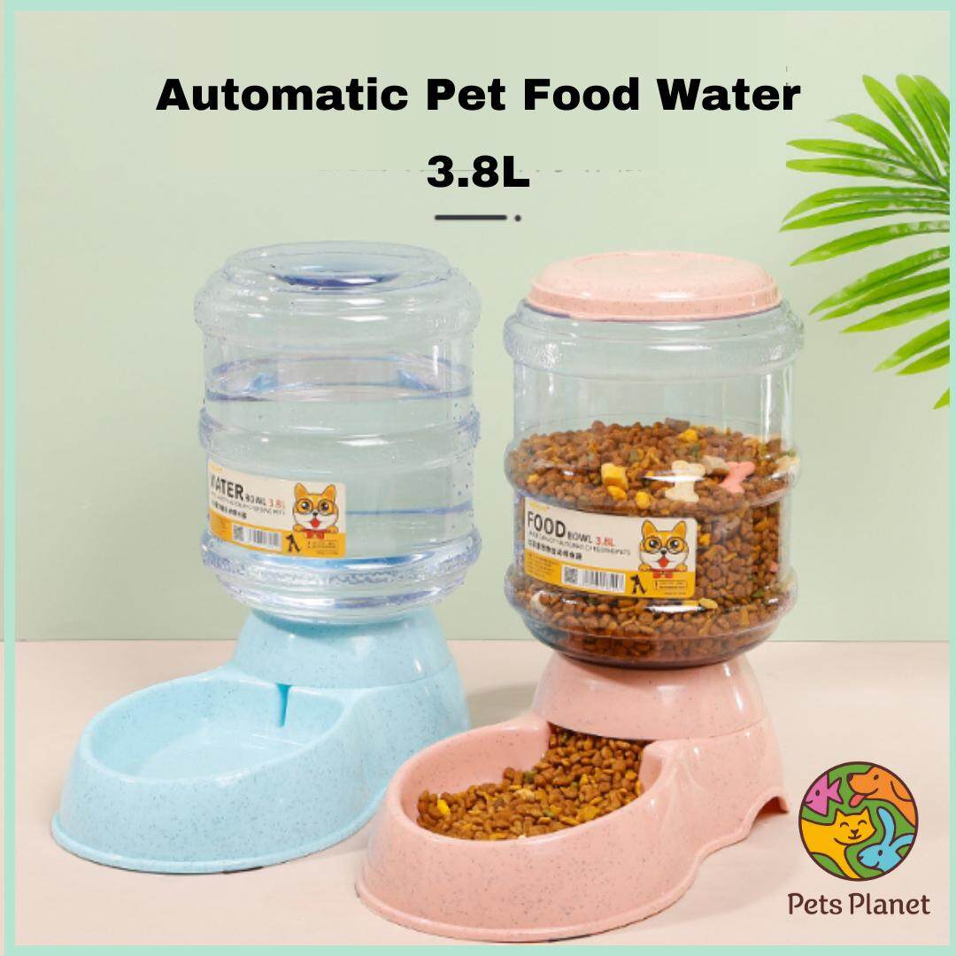 Automatic pet food and water outlet dispenser