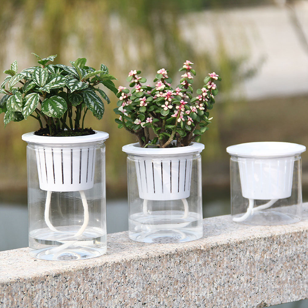 Gloryworld Clear Automatic Water Absorption Self Watering Hydroponic Flower Pot Planter
