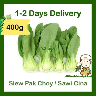 Siew Pak Choy / Sawi Cina / Chinese Cabbage