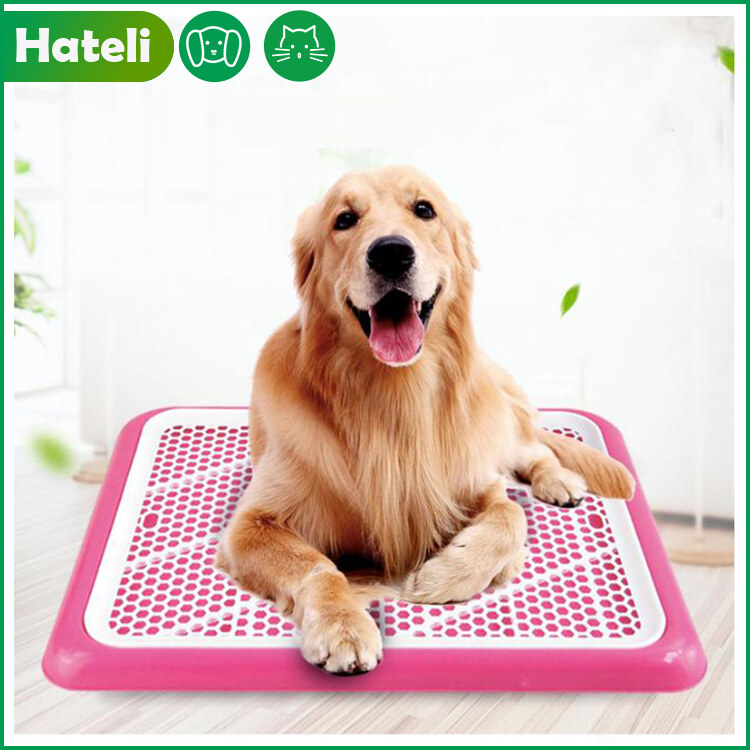 plastic dog mat