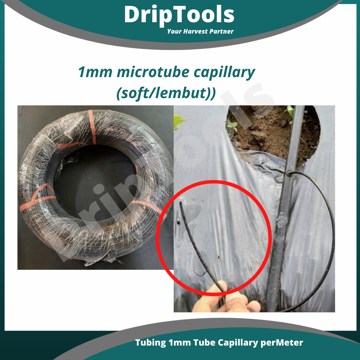 Tubing 1mm (Soft/Lembut) Tube Capillary perMeter, Tiub Kapilari