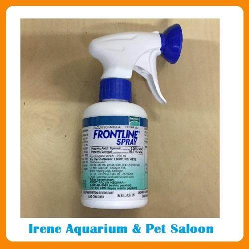 Irene aquarium hotsell & pet saloon