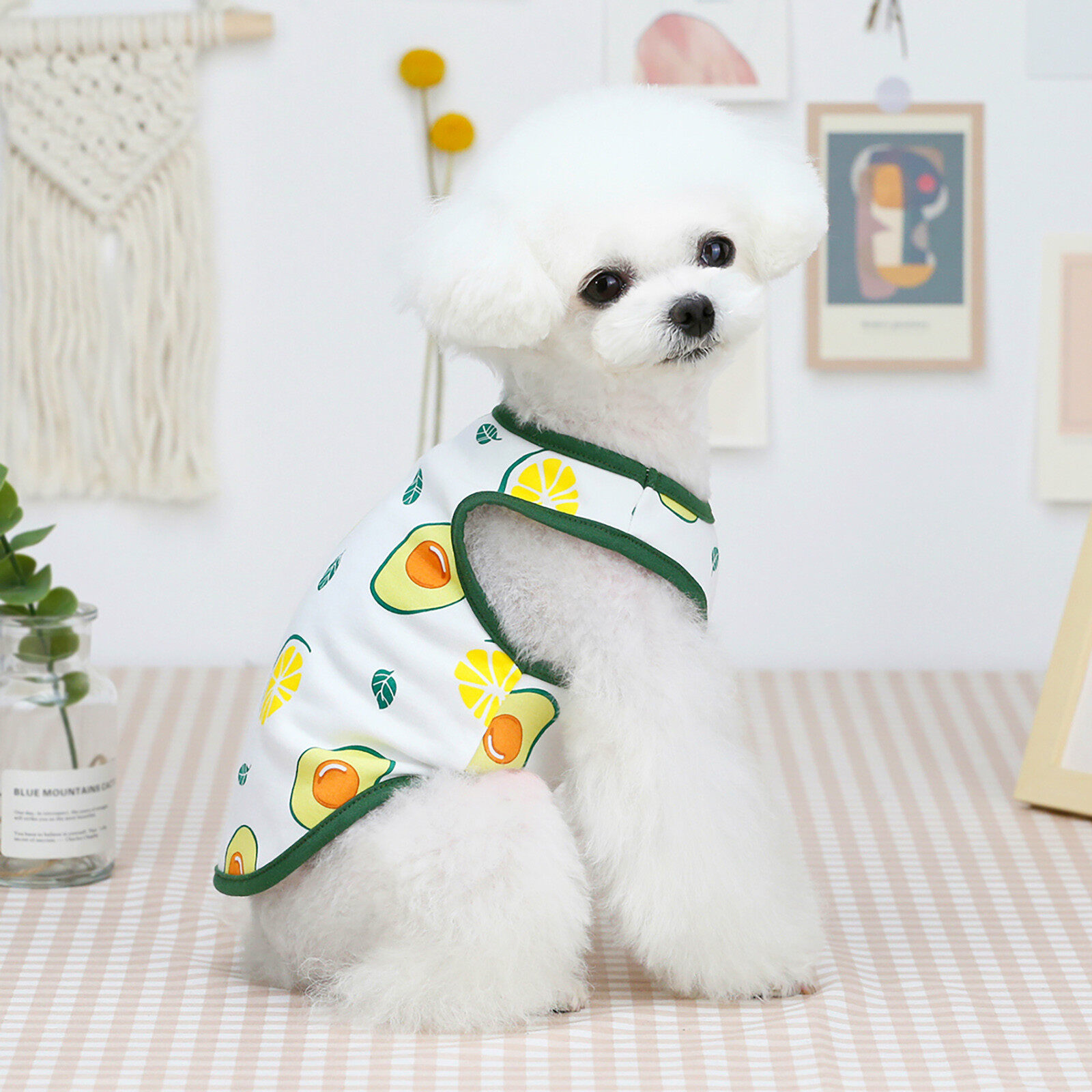 Puxinpang สัตว์เลี้ยงสุนัขฤดูร้อนเสื้อผ้าใหม่น่ารักบางห้าสีเสื้อกล้ามลายผลไม้ Casual Unisex