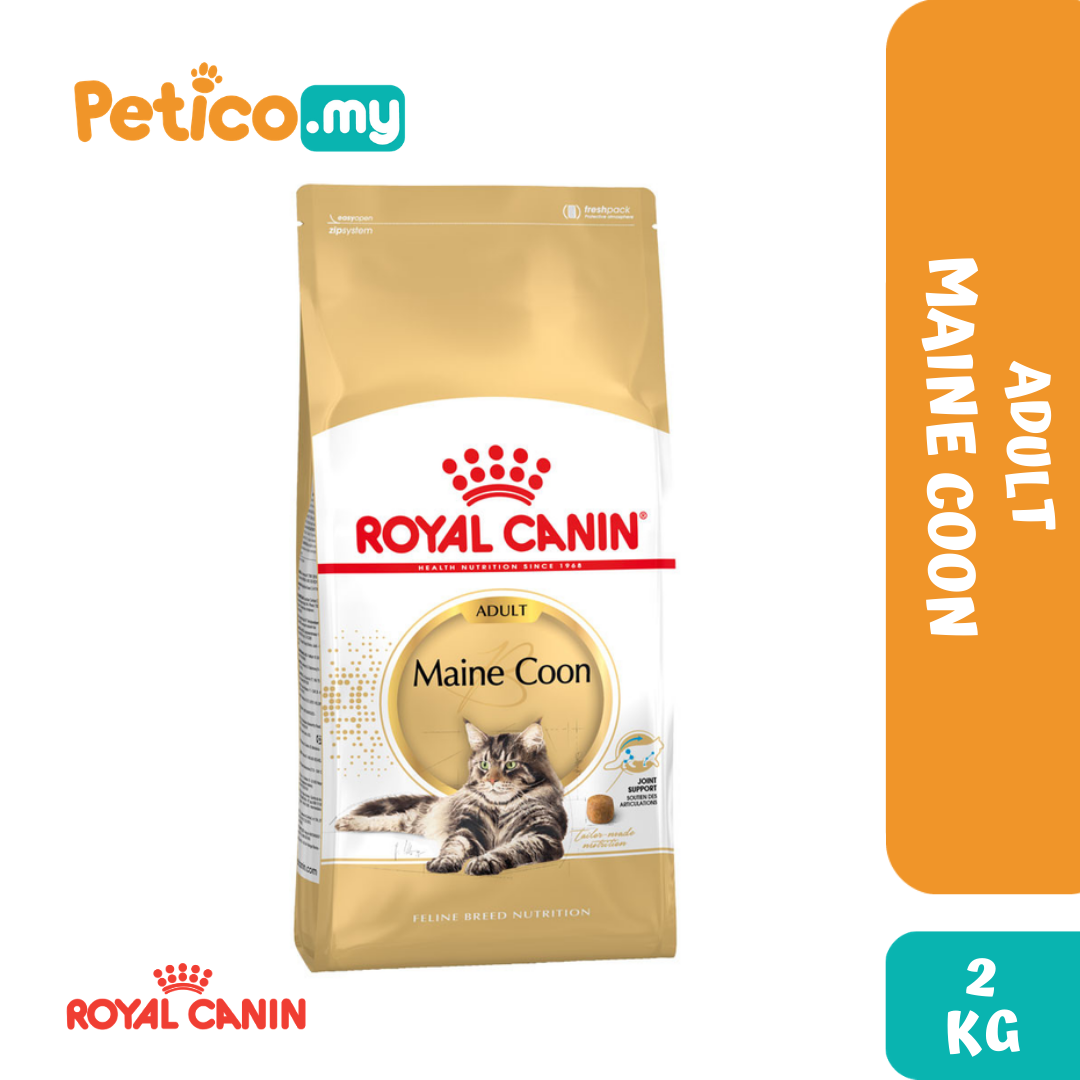 royal canin maine coon cat food