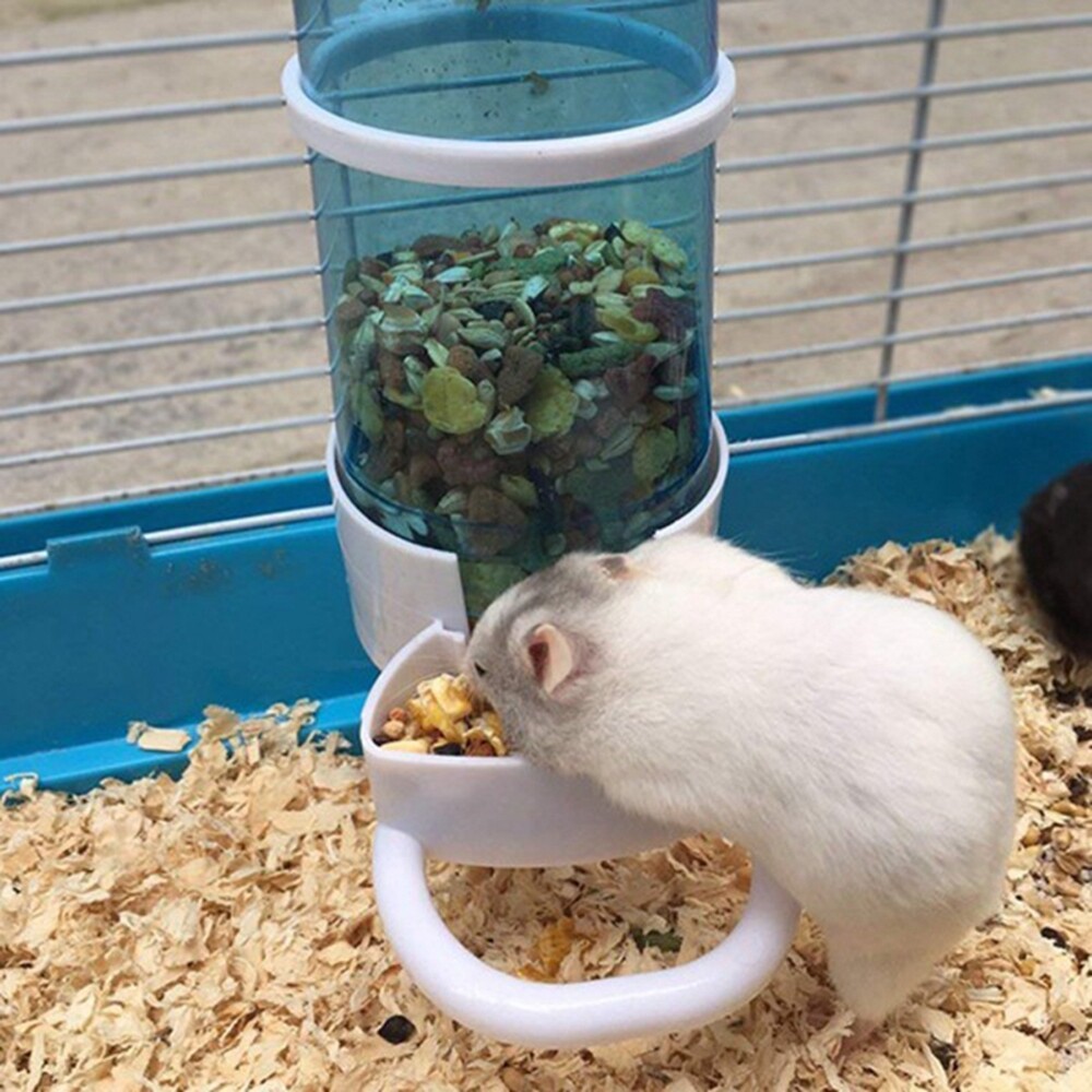 hamster feeder automatic