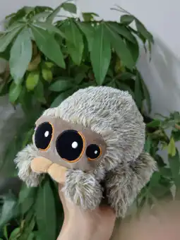 lucas the spider stuffed animal