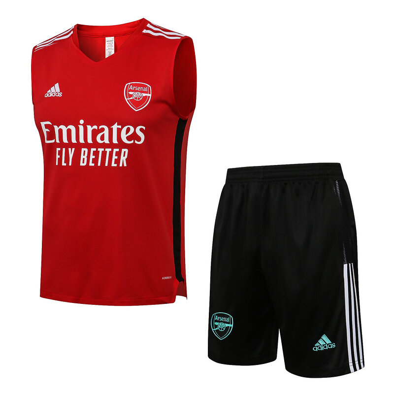 Arsenal on sale training vest