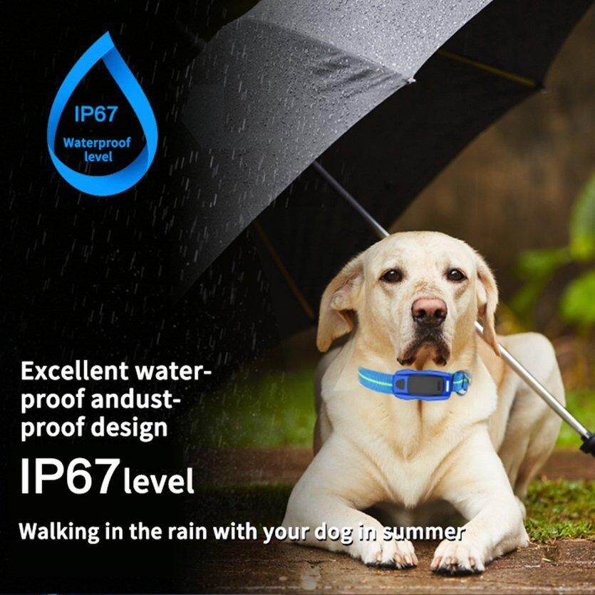 Dog Pet GPS GSM Smart Tracker Safety Real Time Tracking Location Antilost Collar