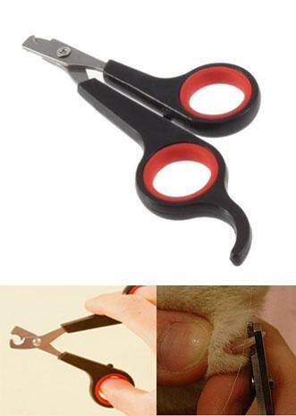 bird nail cutter
