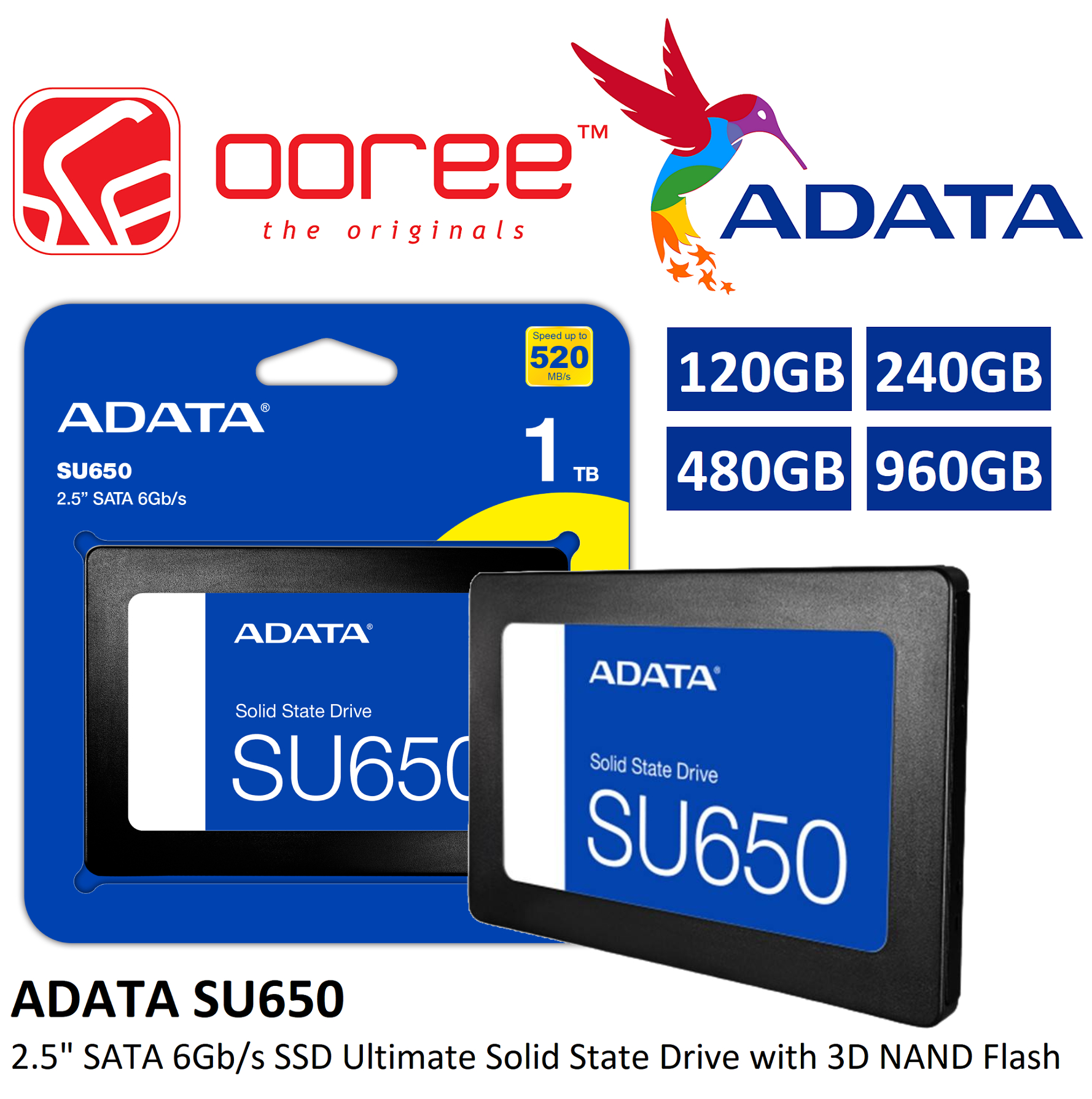 ADATA SU800 960GB 2.5インチSATA SSD 2TB 公式通販