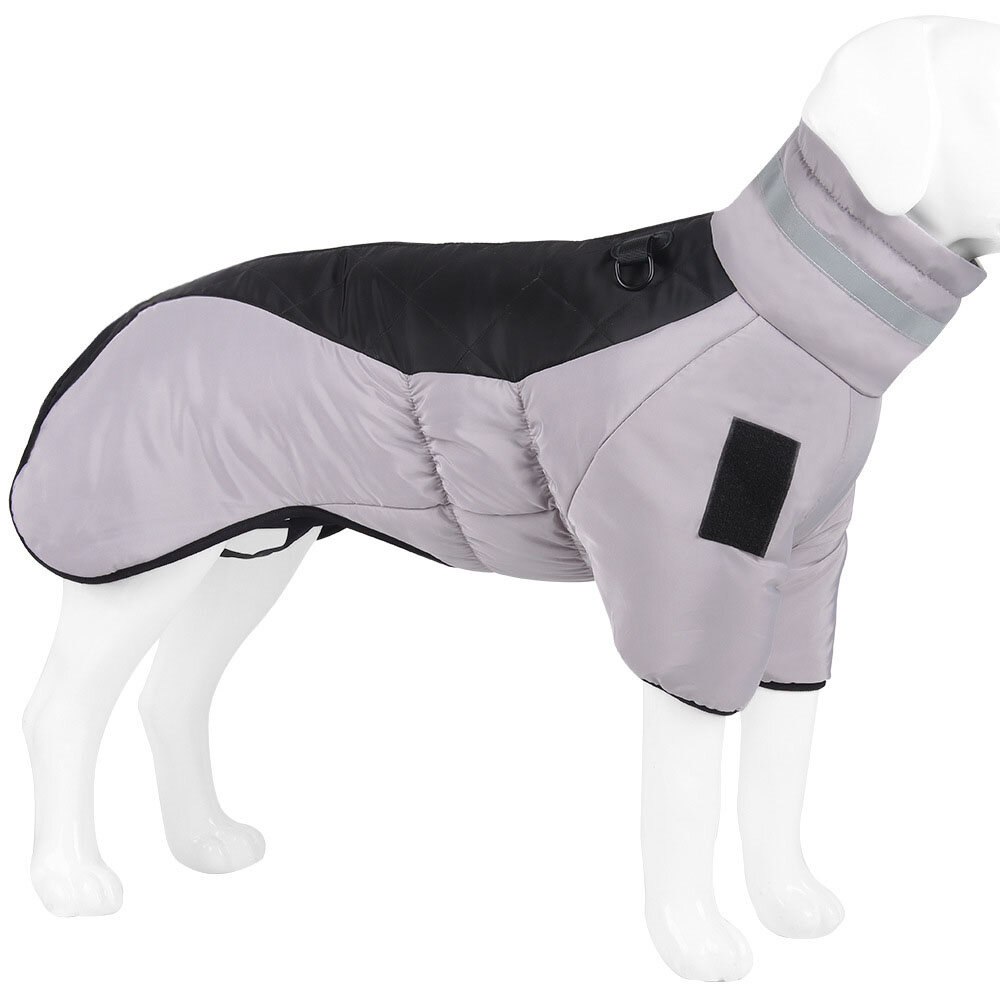 dog coats for french bulldogs