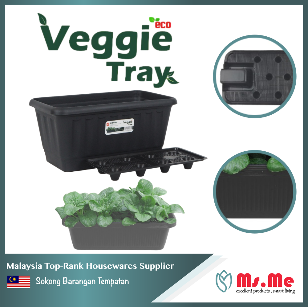 Malaysia Flower Pot Supplier Best Flower Site