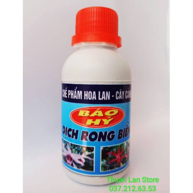 Dịch rong biển - thần dược cho phong lan, cây cảnh