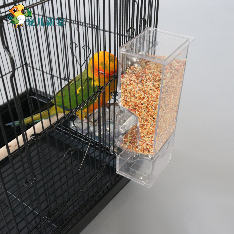 Automatic parrot feeder, bird throwingproof bird feeder, bird food cup