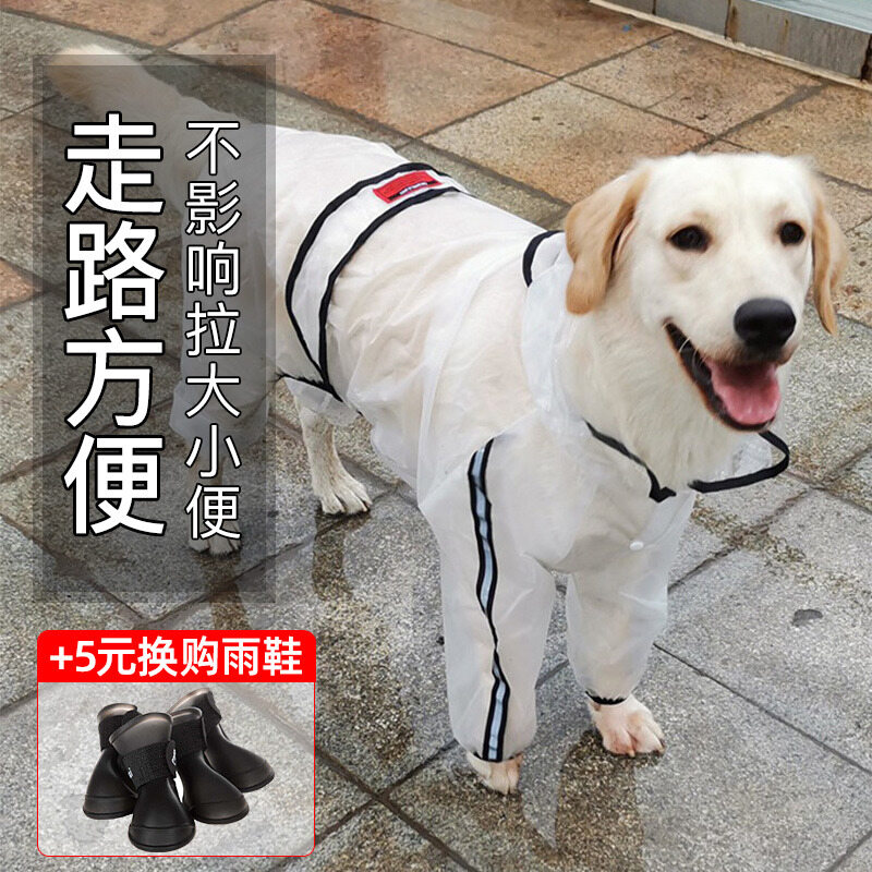 labrador jacket