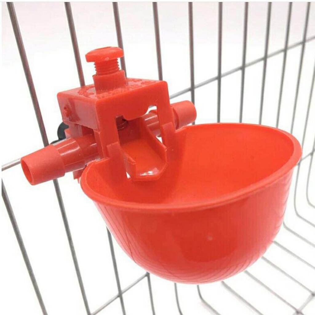 Aayang 10 Pack Poultry Water Drinking Cups- Plastic Chicken Hen Automatic Drinker