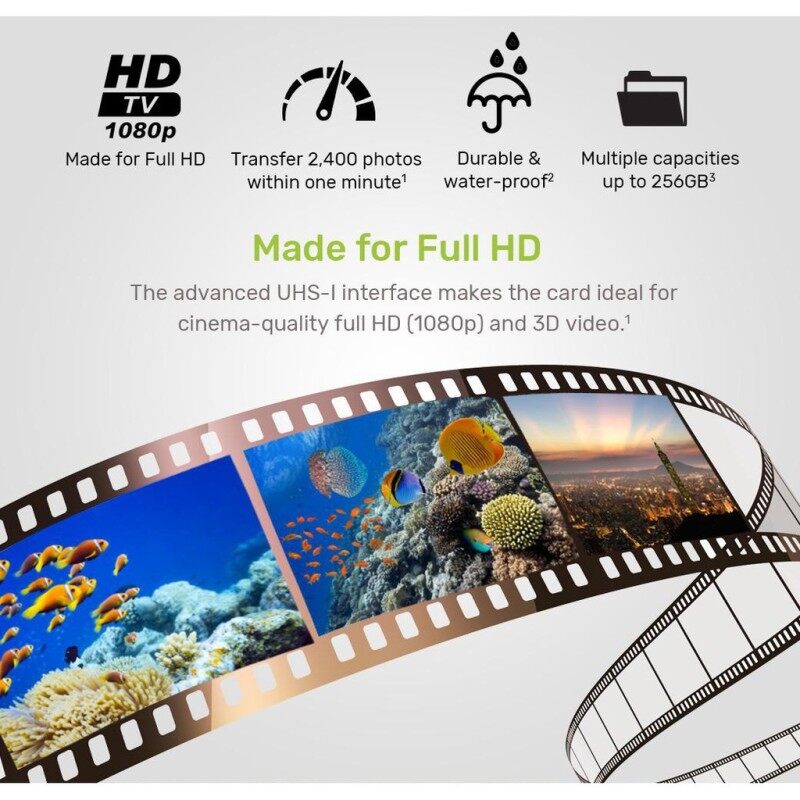 Kingston SD card flash memory card memory card mini TF card mobile phone/tablet memory card memory card 4GB 8GB 16GB 32GB 64GB SD card 128GB 256GB 512GB