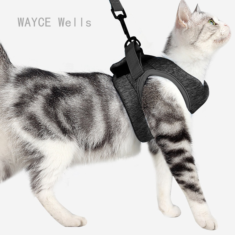 cat harness lazada