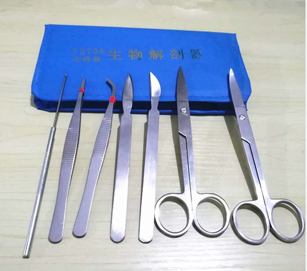 Dissecting Animal Dissection Kit Taxidermy Set Biology Student School