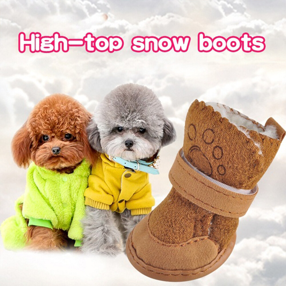 puppy winter shoes