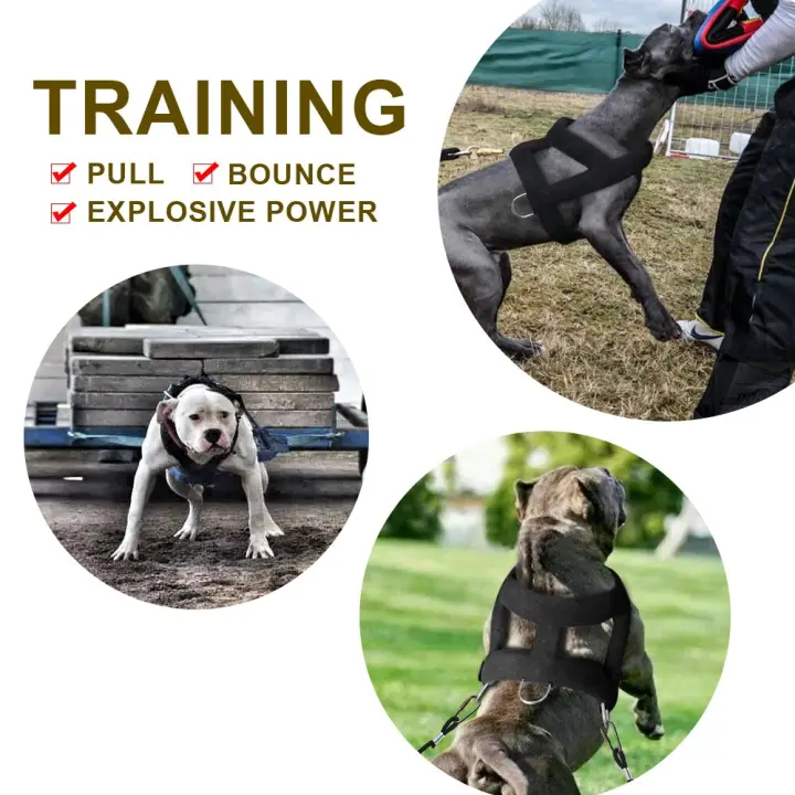 k9 training harness