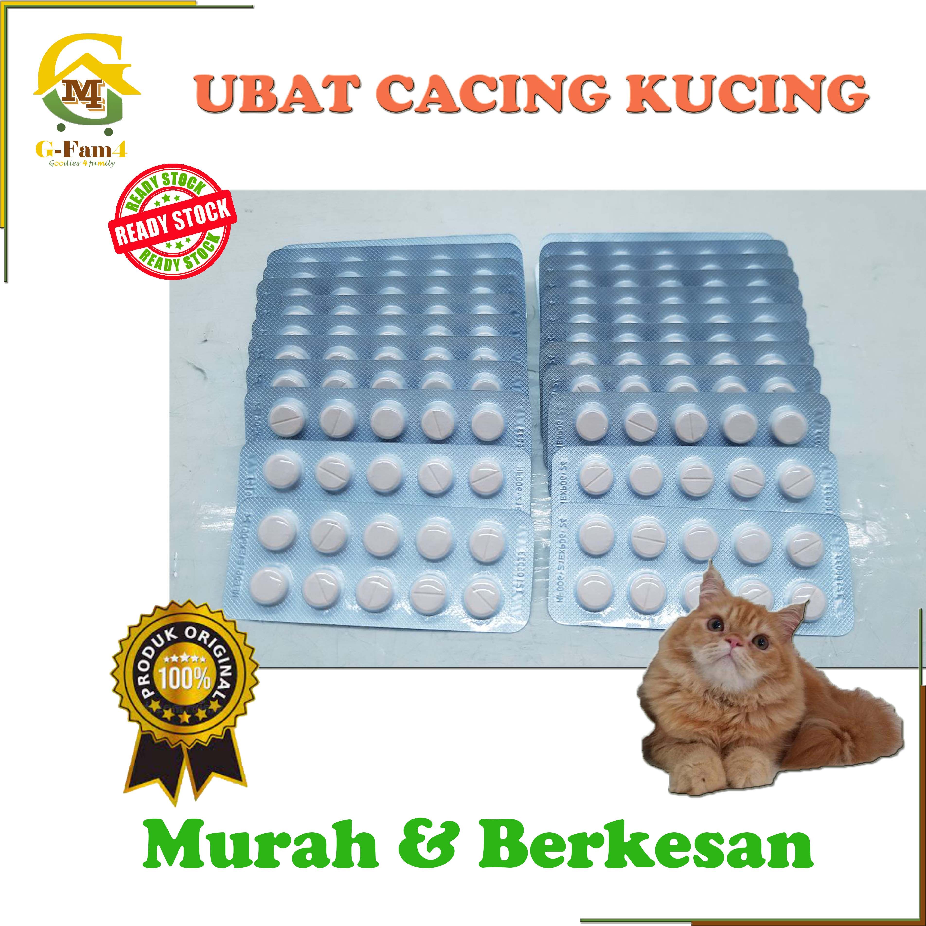 Beli ubat cacing biji kucing Pada Harga Terendah  Lazada.com.my