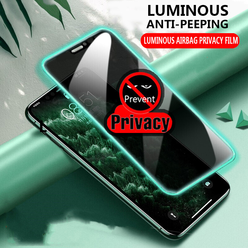 Privacy luminous tempered glass for iphone 14 14pro 14plus 14promax 13 13pro 13promax 6 6s 6plus 7 7plus 8 8plus 11 11pro 11promax x xr xs max se 2020 12 12pro 12promax 12 pro max anti-peeping screen protector tempered film