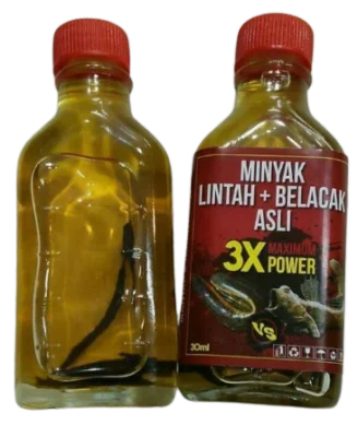 Minyak Lintah + Belacak Asli 3X Power