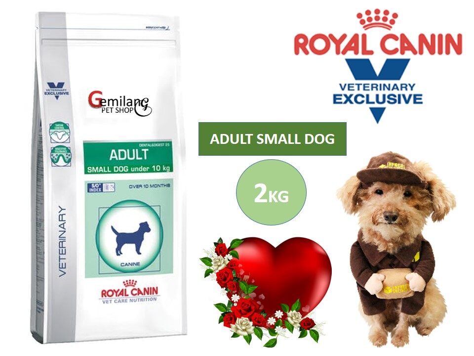 royal canin neutered small dog under 10kg