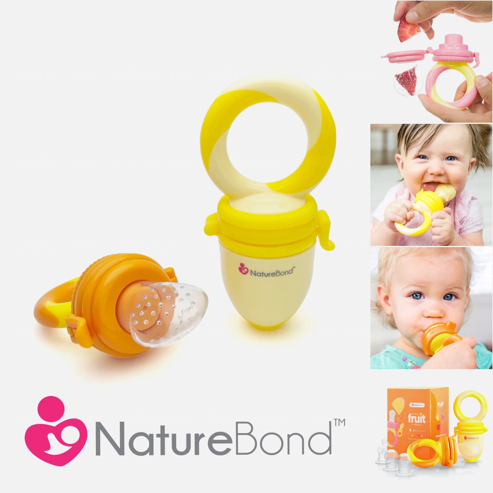 nature bond fruit feeder