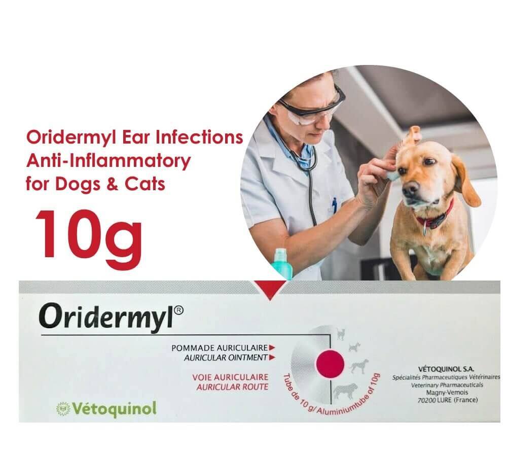 【PETS EAR】Vetoquinol Oridermyl Ointment 10g Ear Infections, Anti