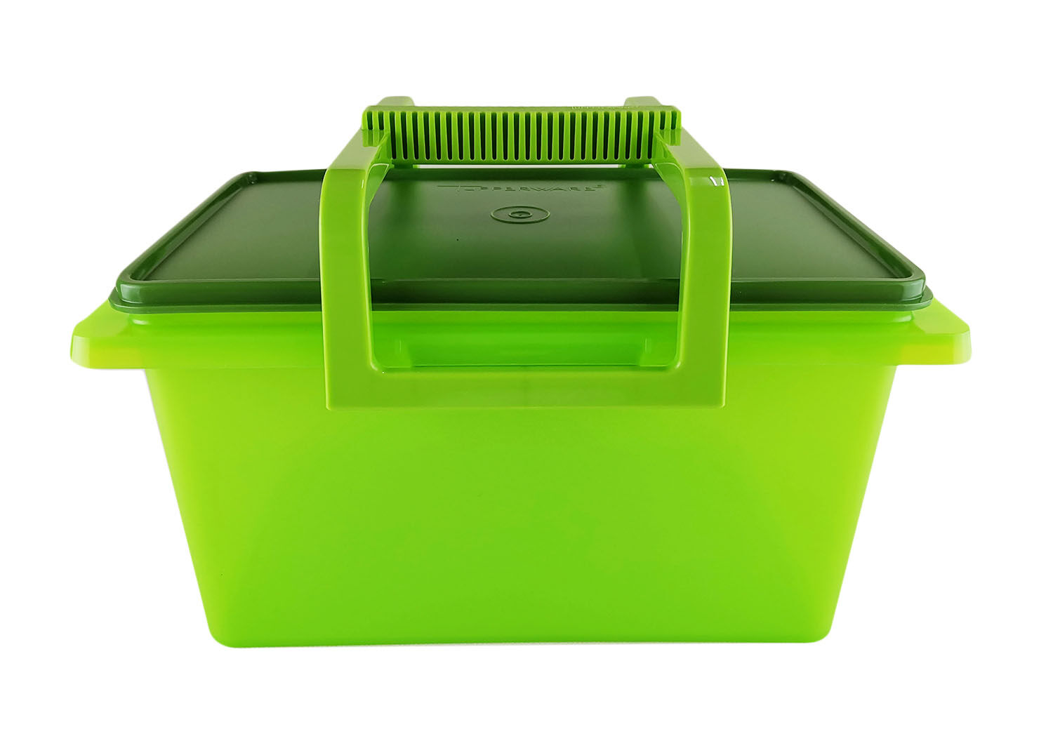 Tupperware Green Buddy Keeper Picnic Foods Storage Container With ...