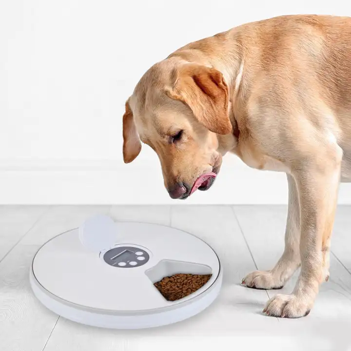 Lightsmile 6 Meal Automatic Pet Feeder Lcd Display For Cats Dogs