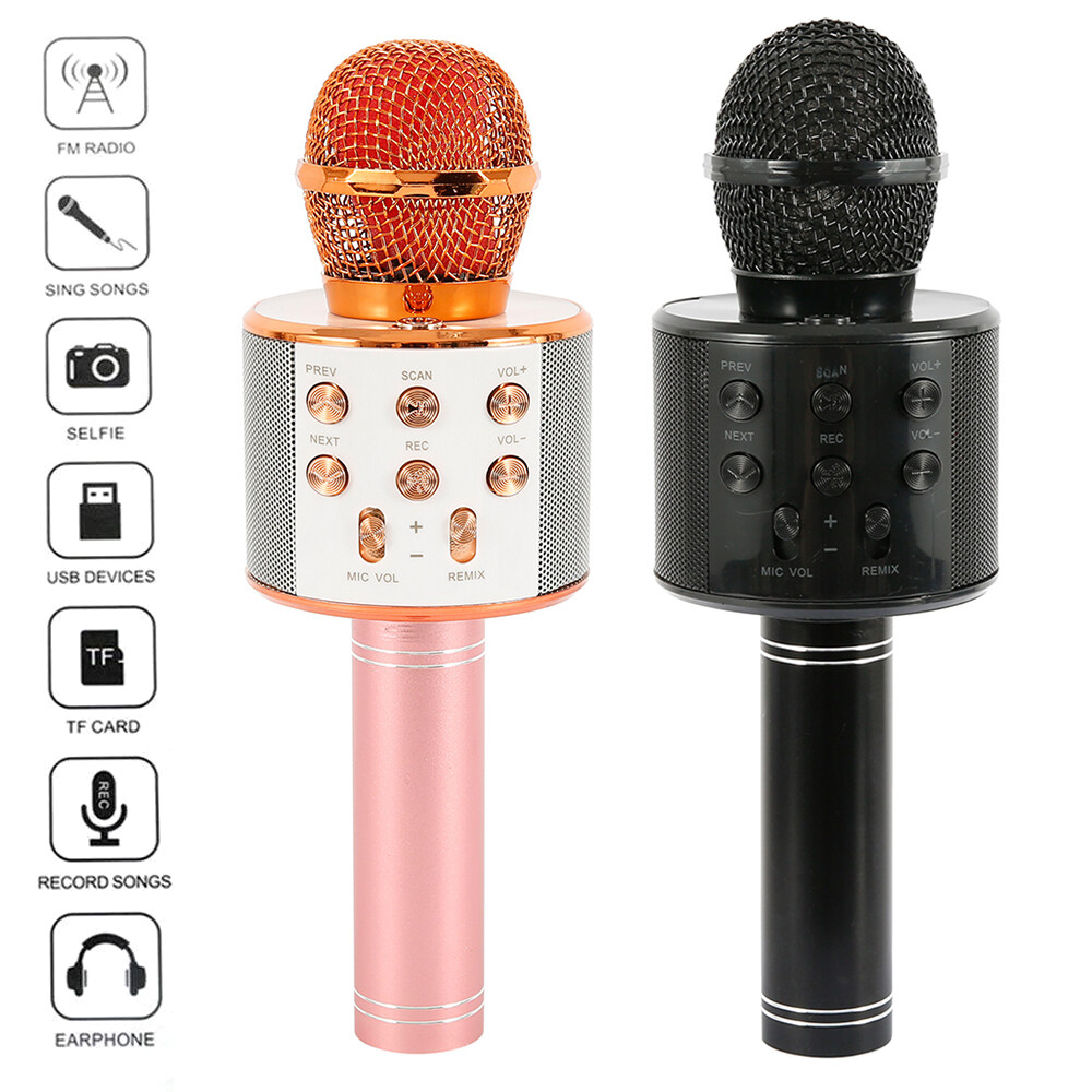 microphone with a speaker