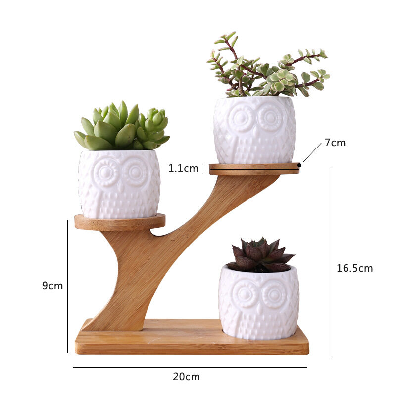 1 Set Modern Minimalist White Ceramic Flowerpot Succulent Plant Pot 3 Bonsai Planters with 3-Tier Bamboo Shelf Home Garden Decor - intl