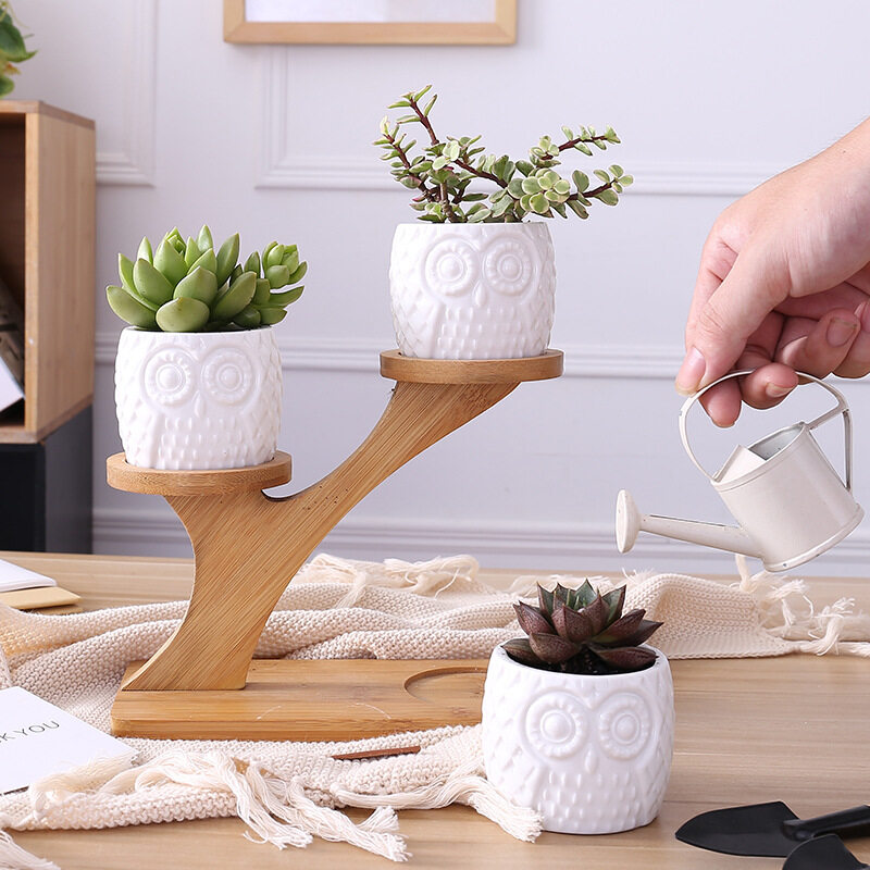 1 Set Modern Minimalist White Ceramic Flowerpot Succulent Plant Pot 3 Bonsai Planters with 3-Tier Bamboo Shelf Home Garden Decor - intl