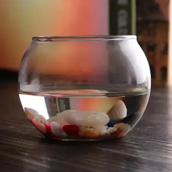 15cm Round Clear Glass Vase Fish Tank Ball Bowl Flower Planter