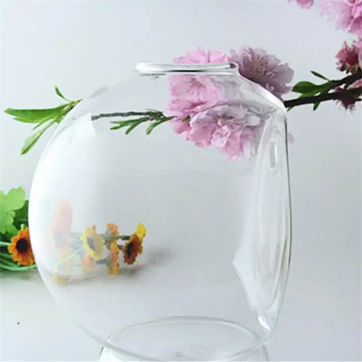 3 Pcs Semicircular Wall Hanging Glass Vase Hydroponic Terrarium