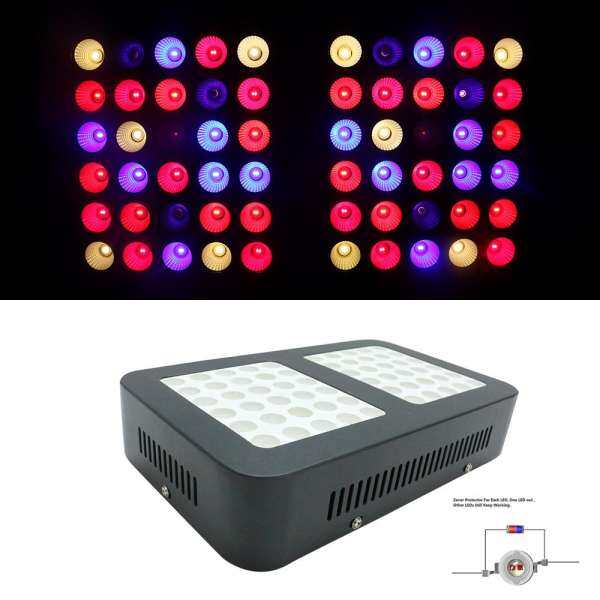 600 W Phản Quang 60 LED Đèn LED Bảng Trong Nhà Lều Thực Vật Hoa Ve Chai Lớn