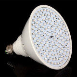 CatWalk 126 LED Grow Light Bulb Red + Blue Flower Veg Plant Hydroponics Spectrum Lamp (Intl)