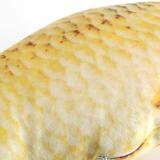 Creative 3D Carp Fish Shape Simulation Cushion Throw Pillow Children Gift Sofa Home Decor 40cm