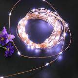 DC5V 10m 100 LED String USB Copper Wire Fairy Lights Party Decor(Bronze)-White Light